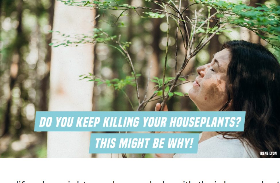 killing houseplants