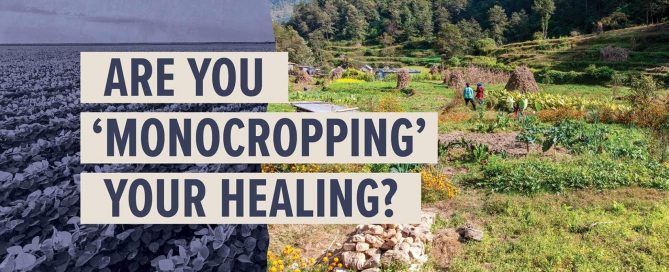 monocropping healing