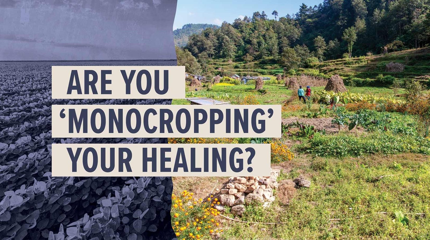 monocropping healing
