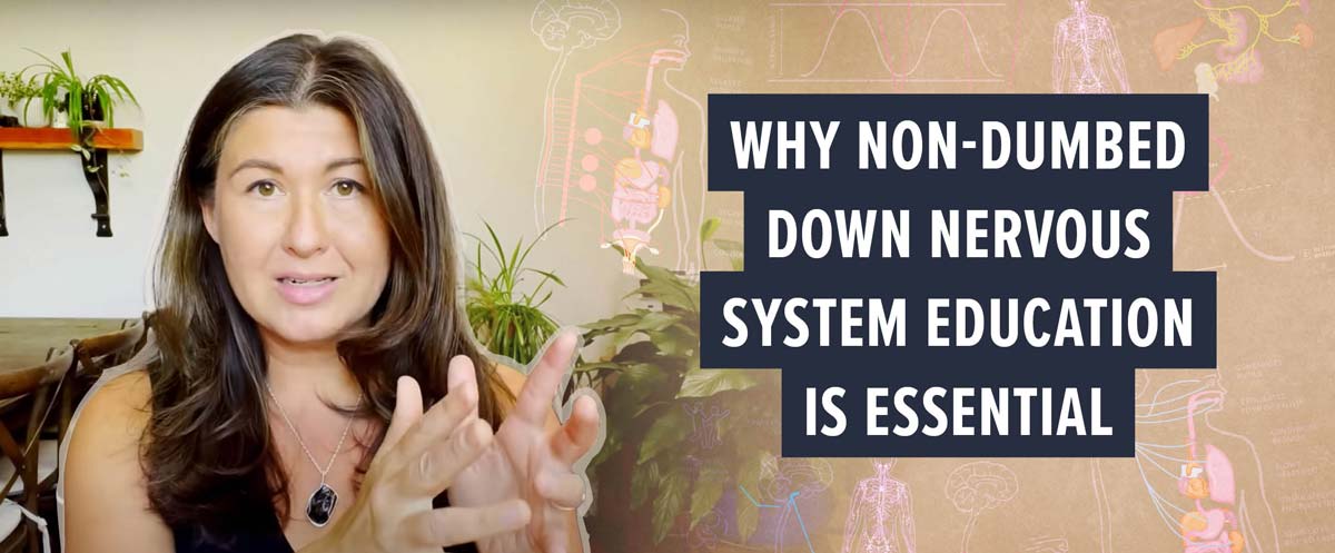 nervous system education